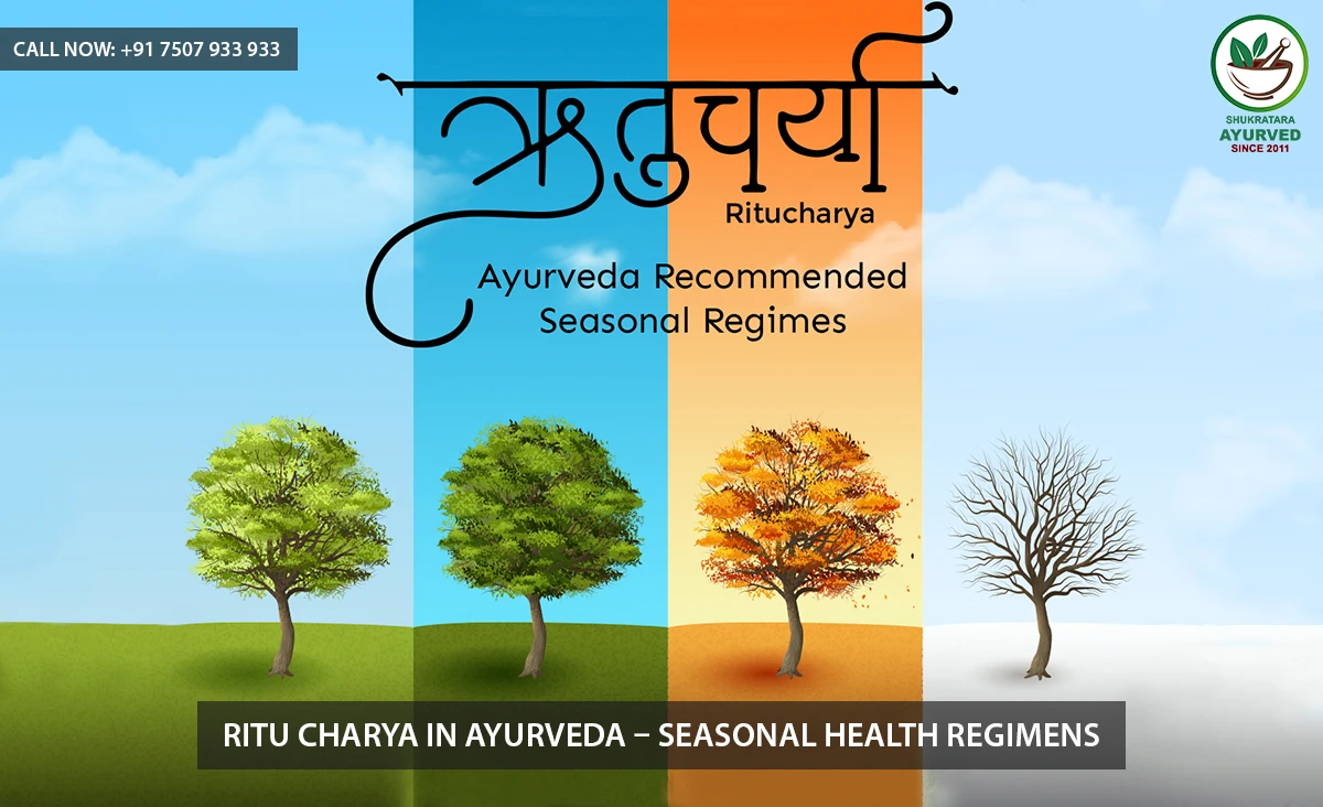Ritu Charya in Ayurveda – Seasonal Health Regimens