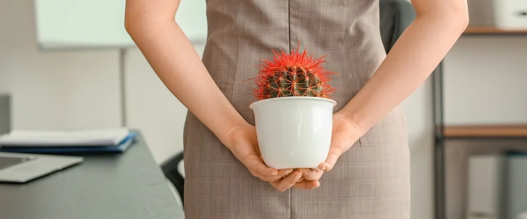 Ayurvedic-Remedies-for-Post-Surgery-Healing-and-Recurrence-Prevention-in-Piles,-Fissure-&-Fistula-marathi