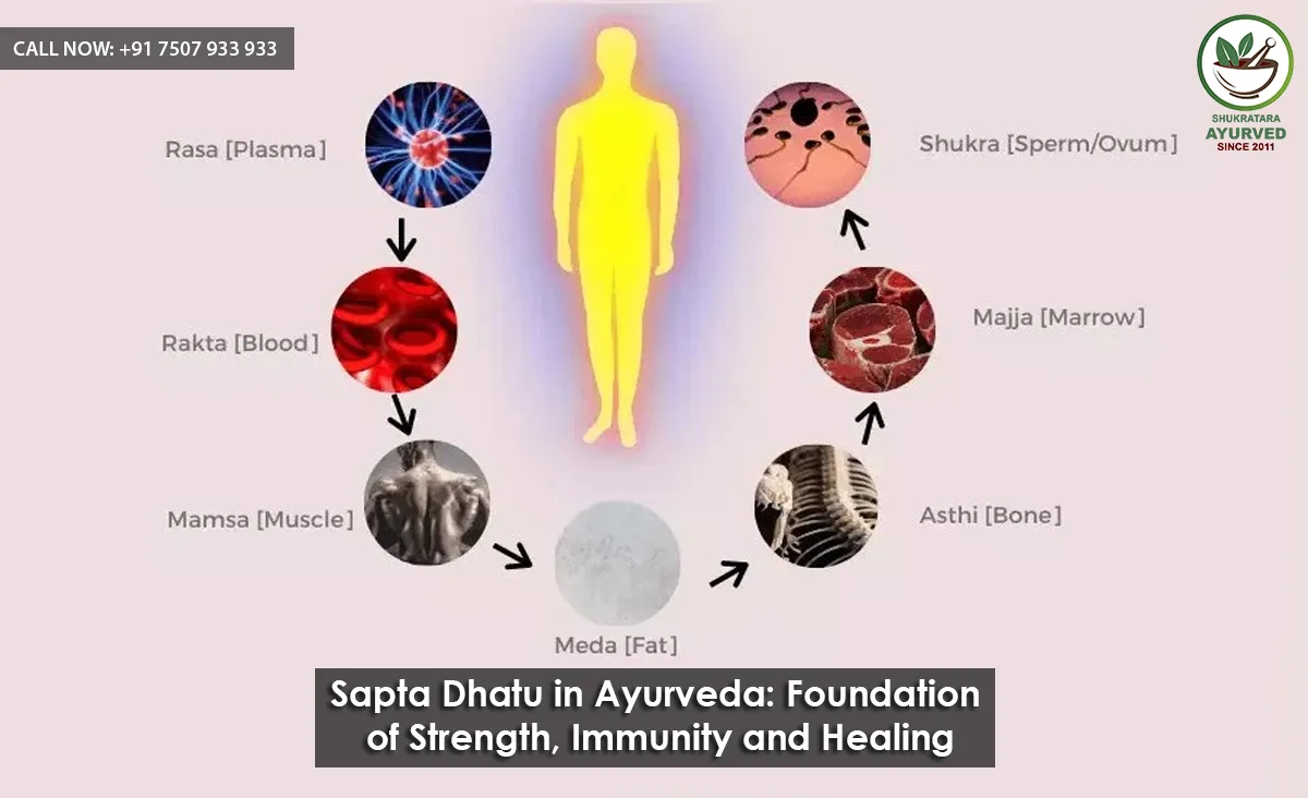 Sapta Dhatu in Ayurveda Foundation of Strength, Immunity and Healing